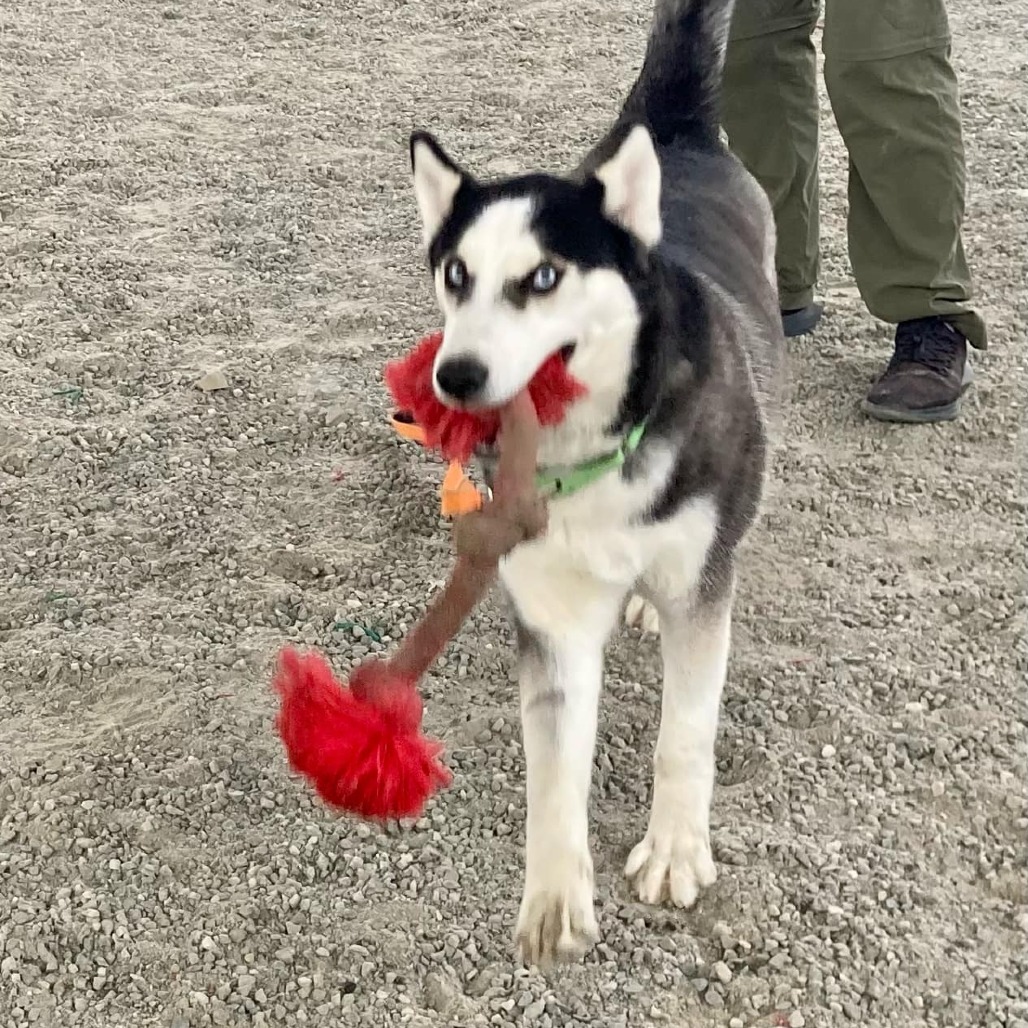Yukon