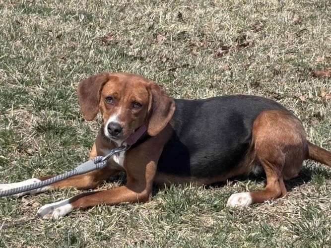 Bridget: At shelter