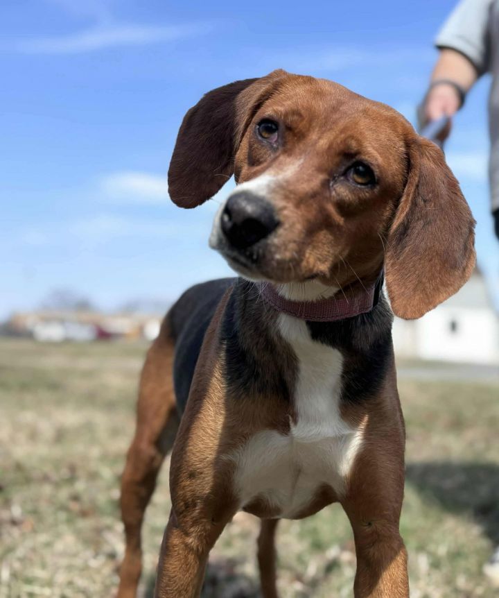 Bridget: At shelter 2