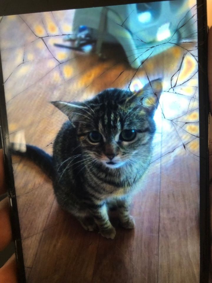 Tiggy 2