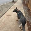 Betty photo 6