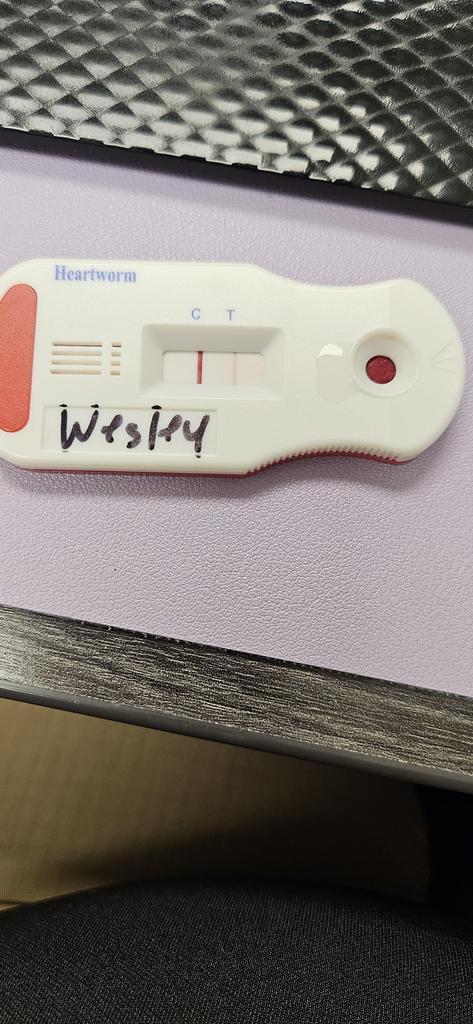 Wesley