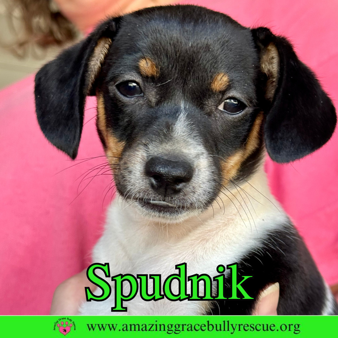 Spudnik