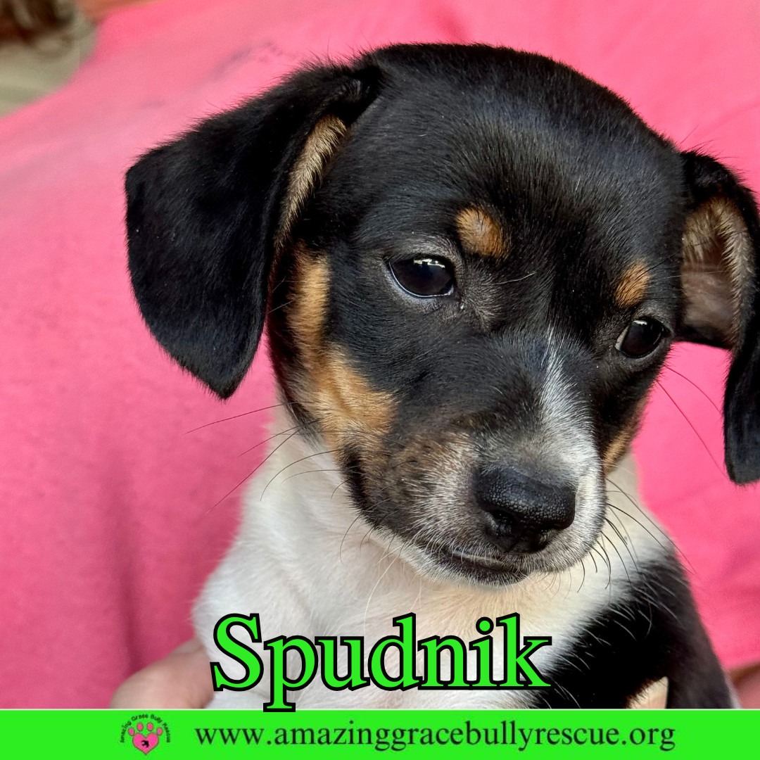 Spudnik
