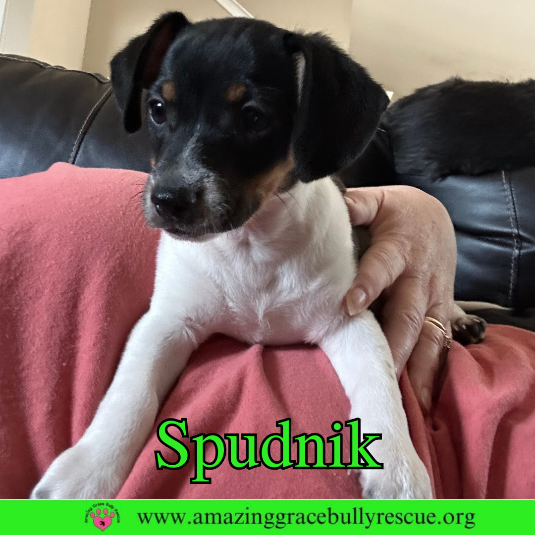 Spudnik