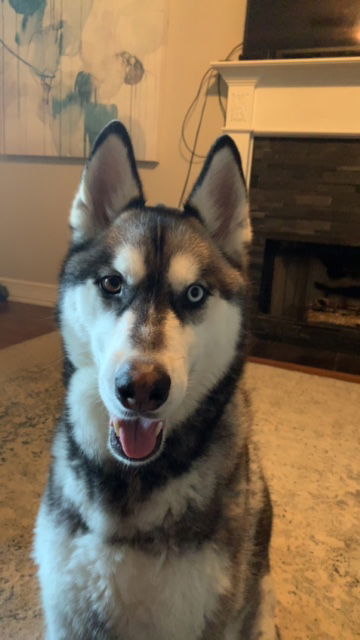 Apollo