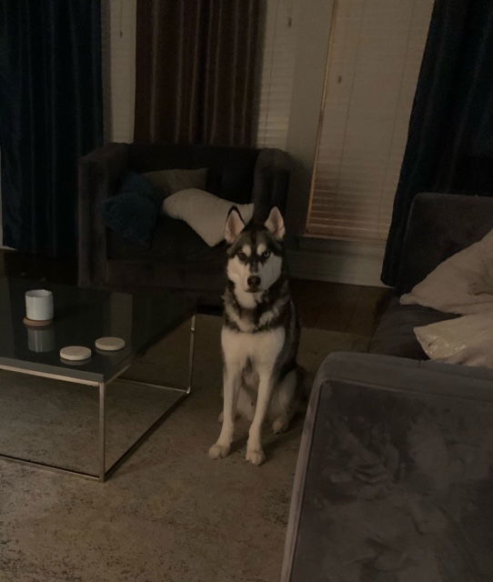 Apollo