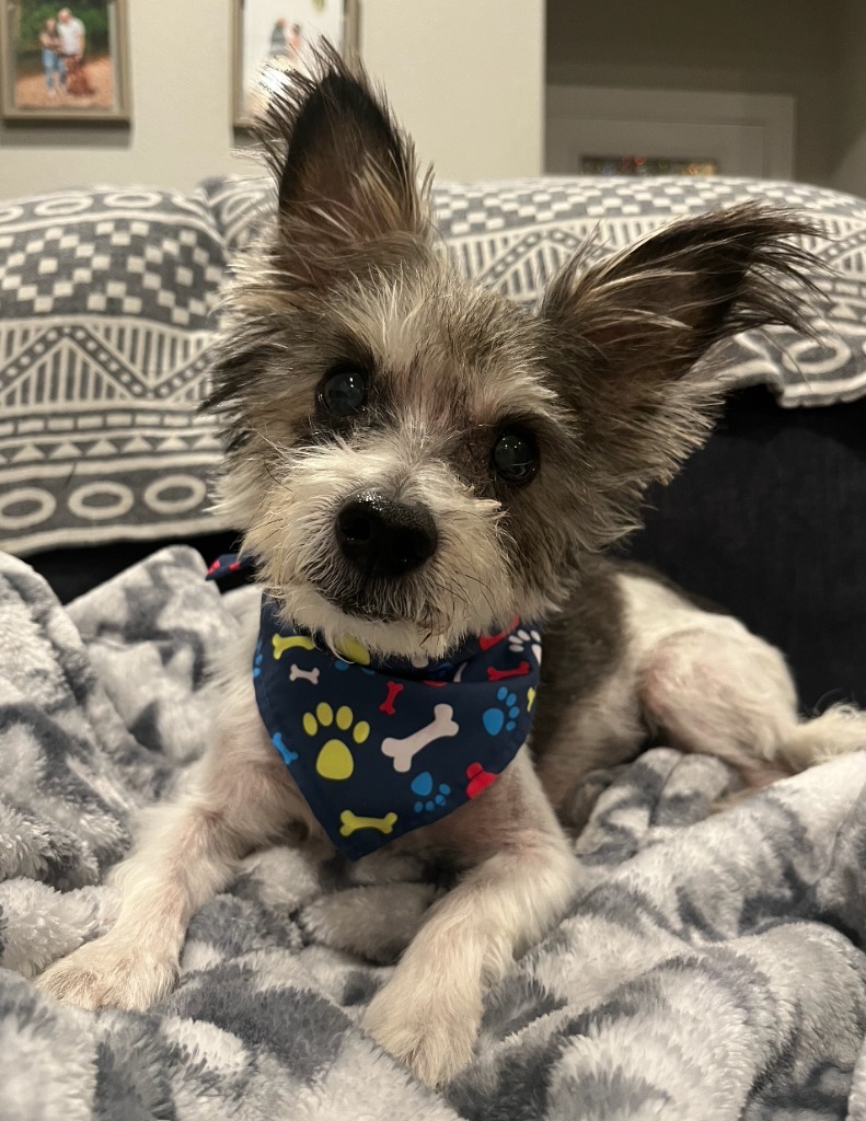 Oscar