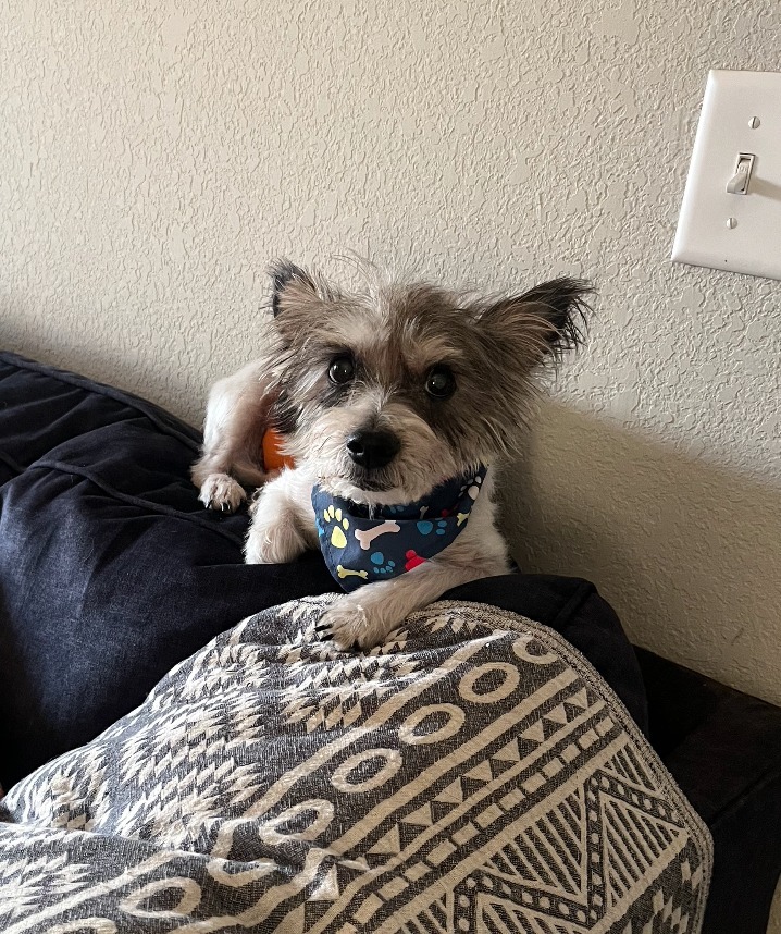 Oscar