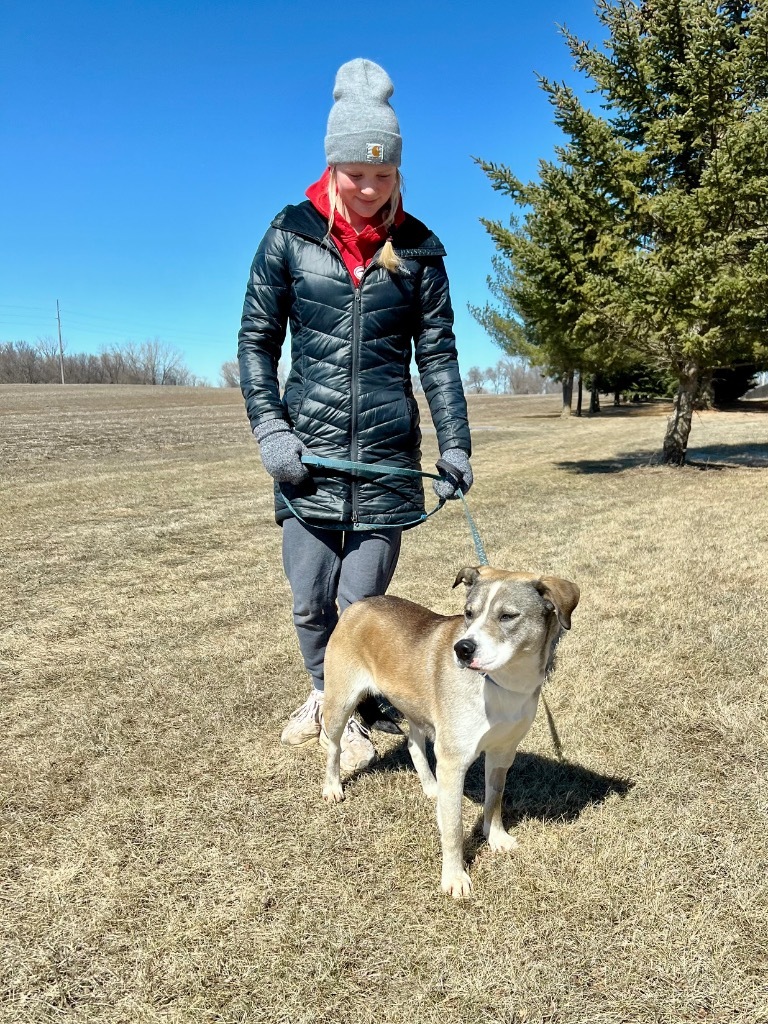 Hazel, an adoptable Mixed Breed in Saint James, MN, 56081 | Photo Image 6