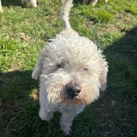 Raymond