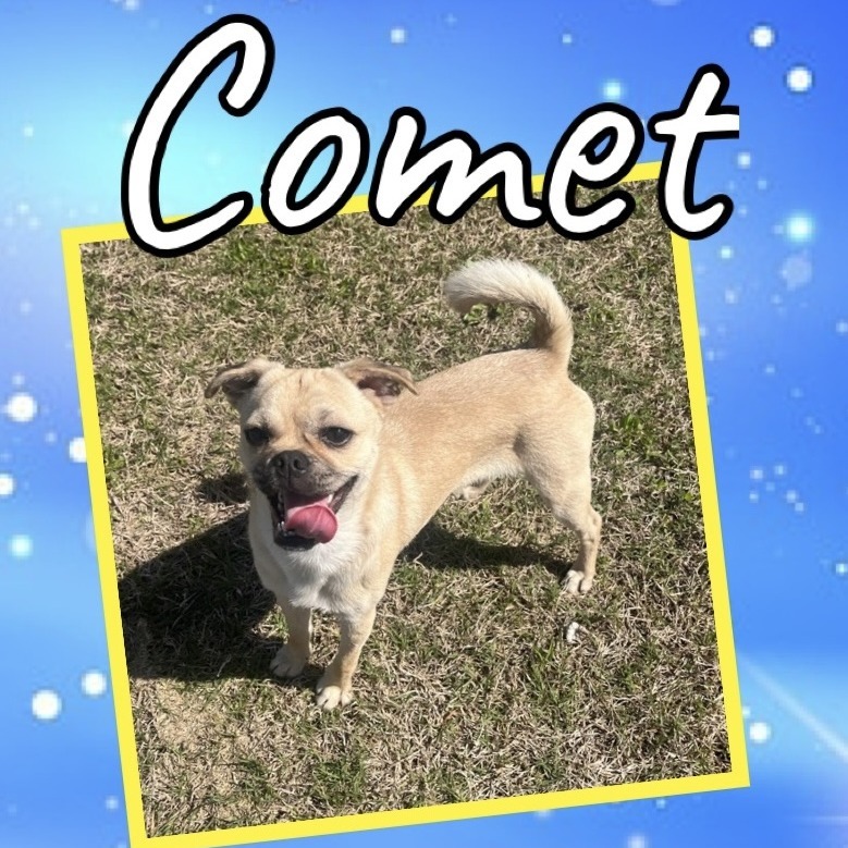 Comet (Dallas)