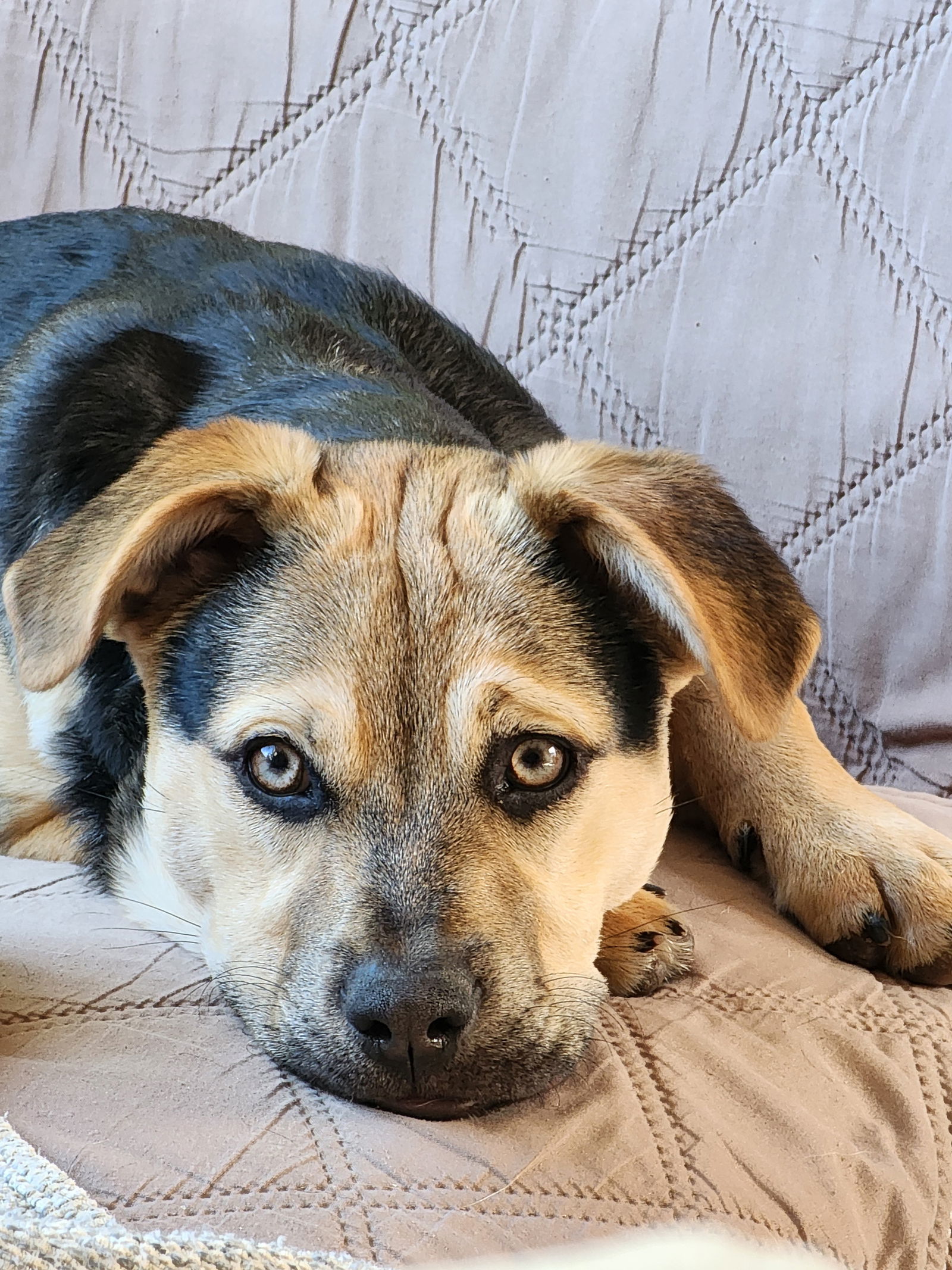 Sierra