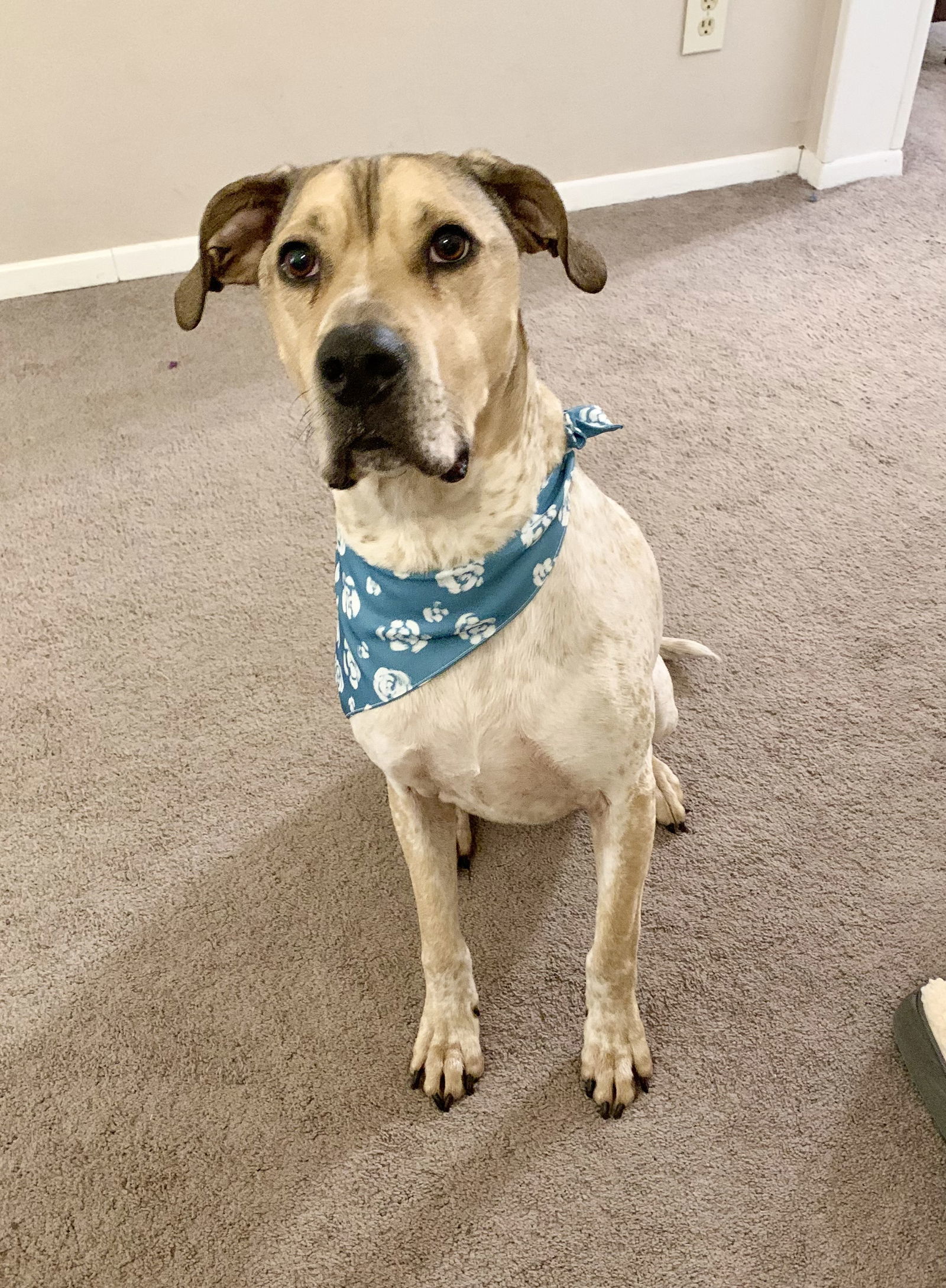 Randall-IN FOSTER