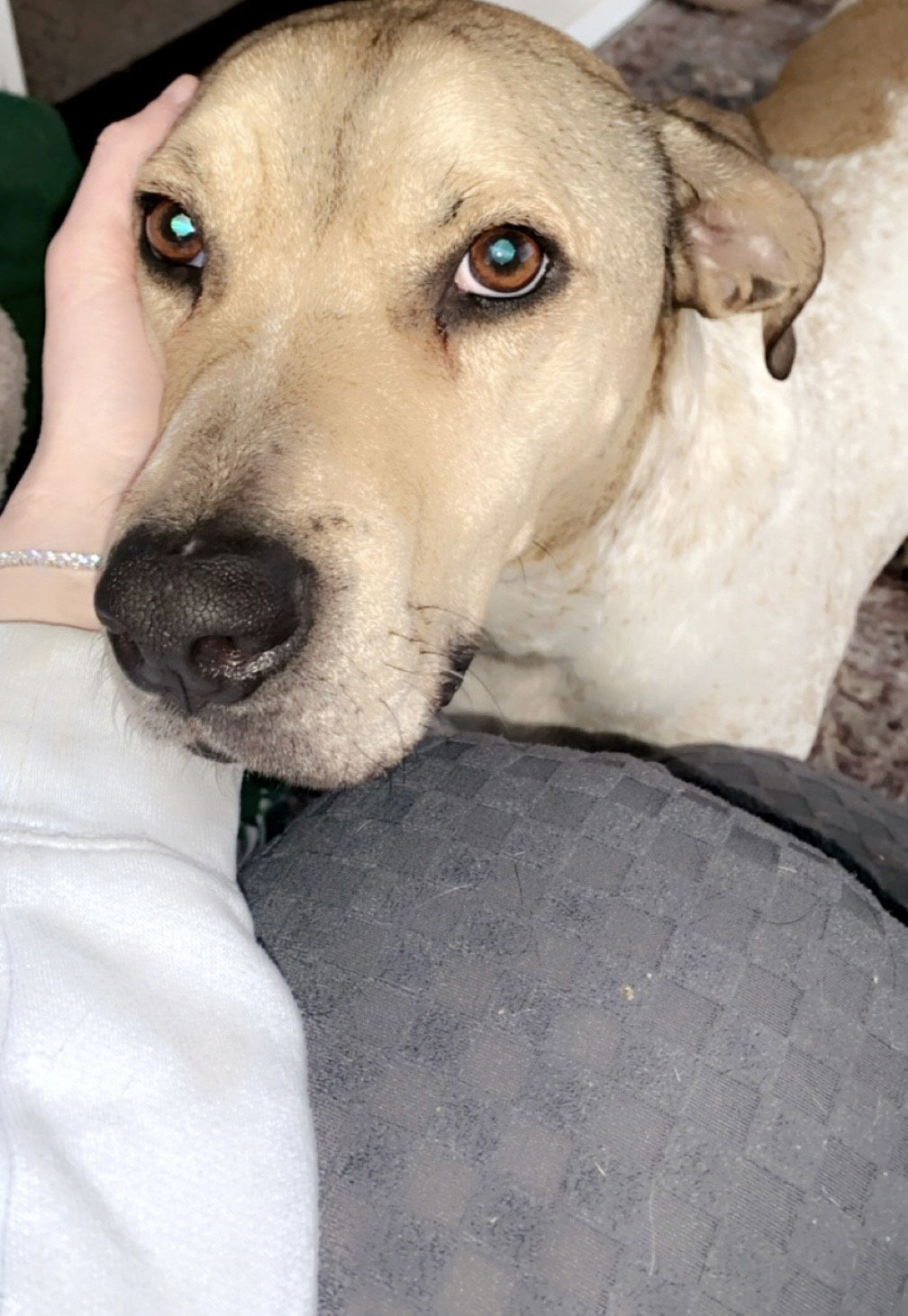 Randall-IN FOSTER