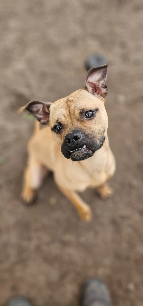 Fiona
