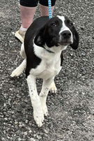Rupert thumbnail 3