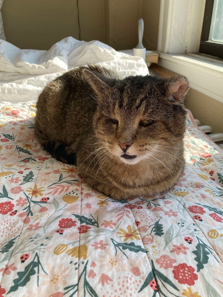 Henry