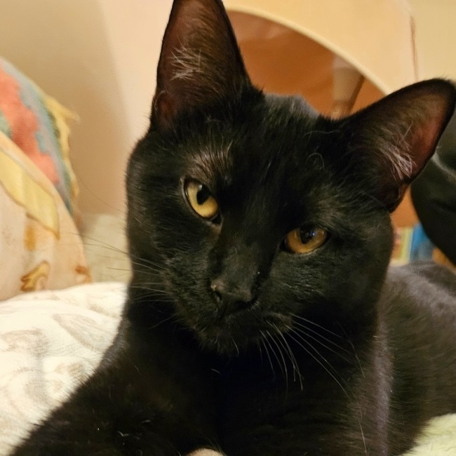 Esmeralda
