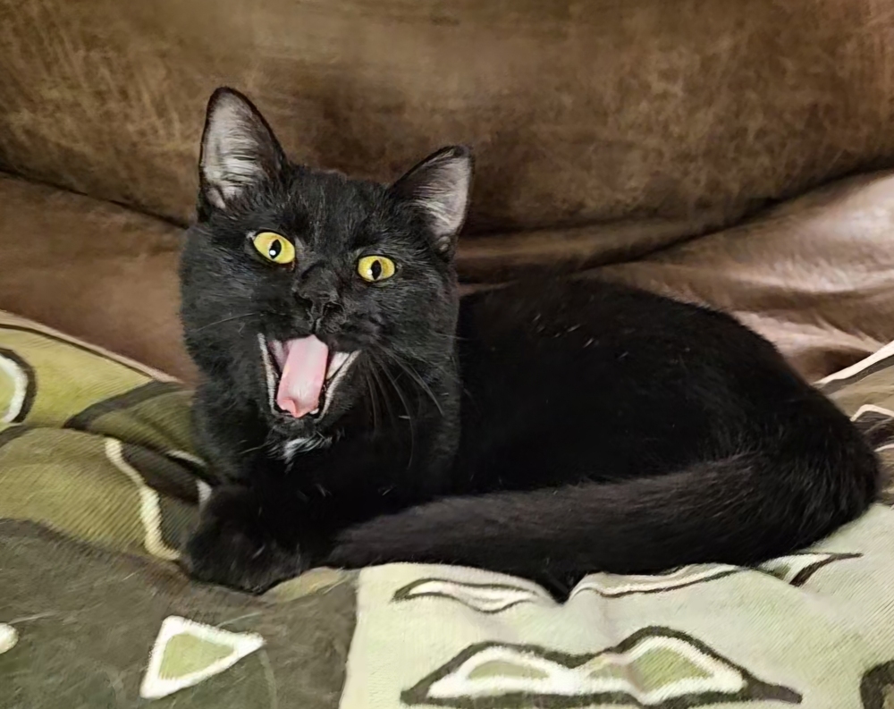 Esmeralda