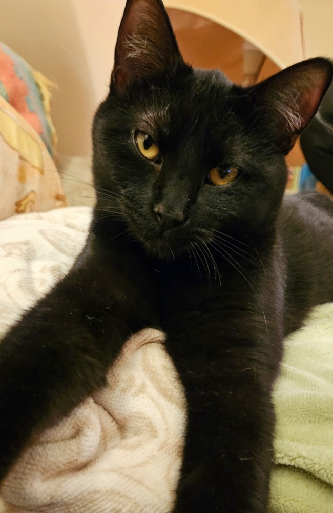 Esmeralda
