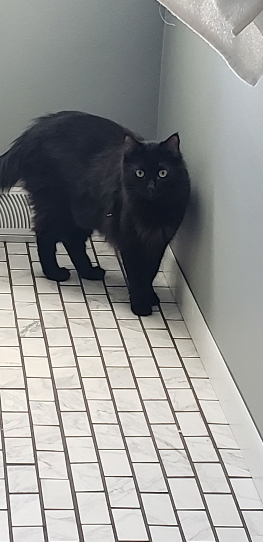 Soot