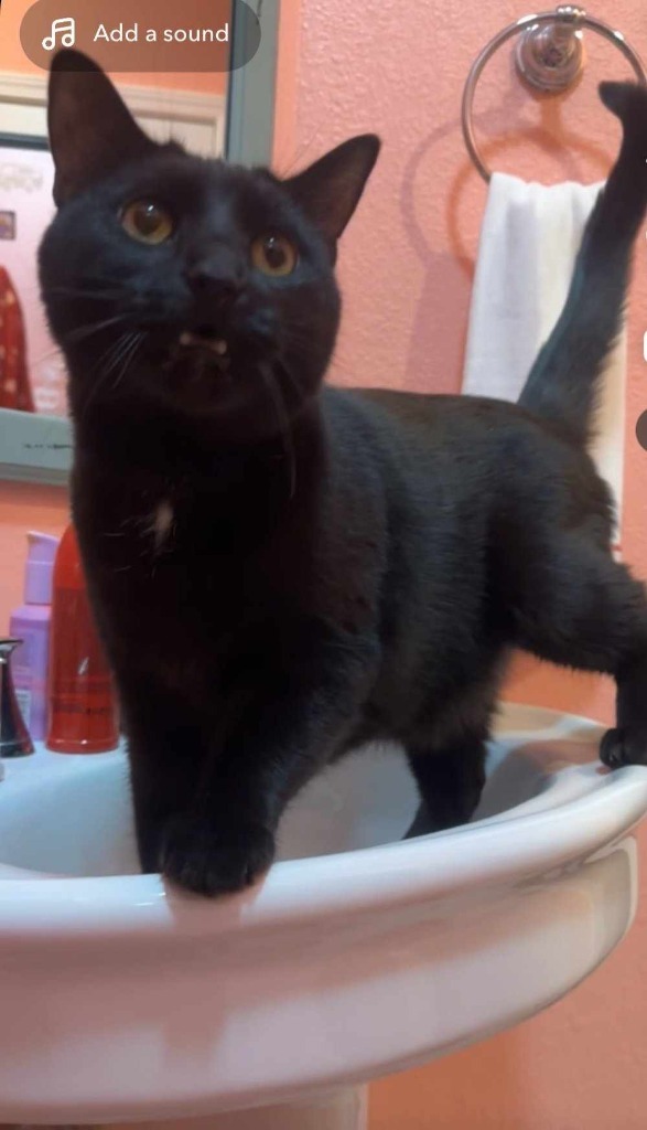 Kevin (Glendale)