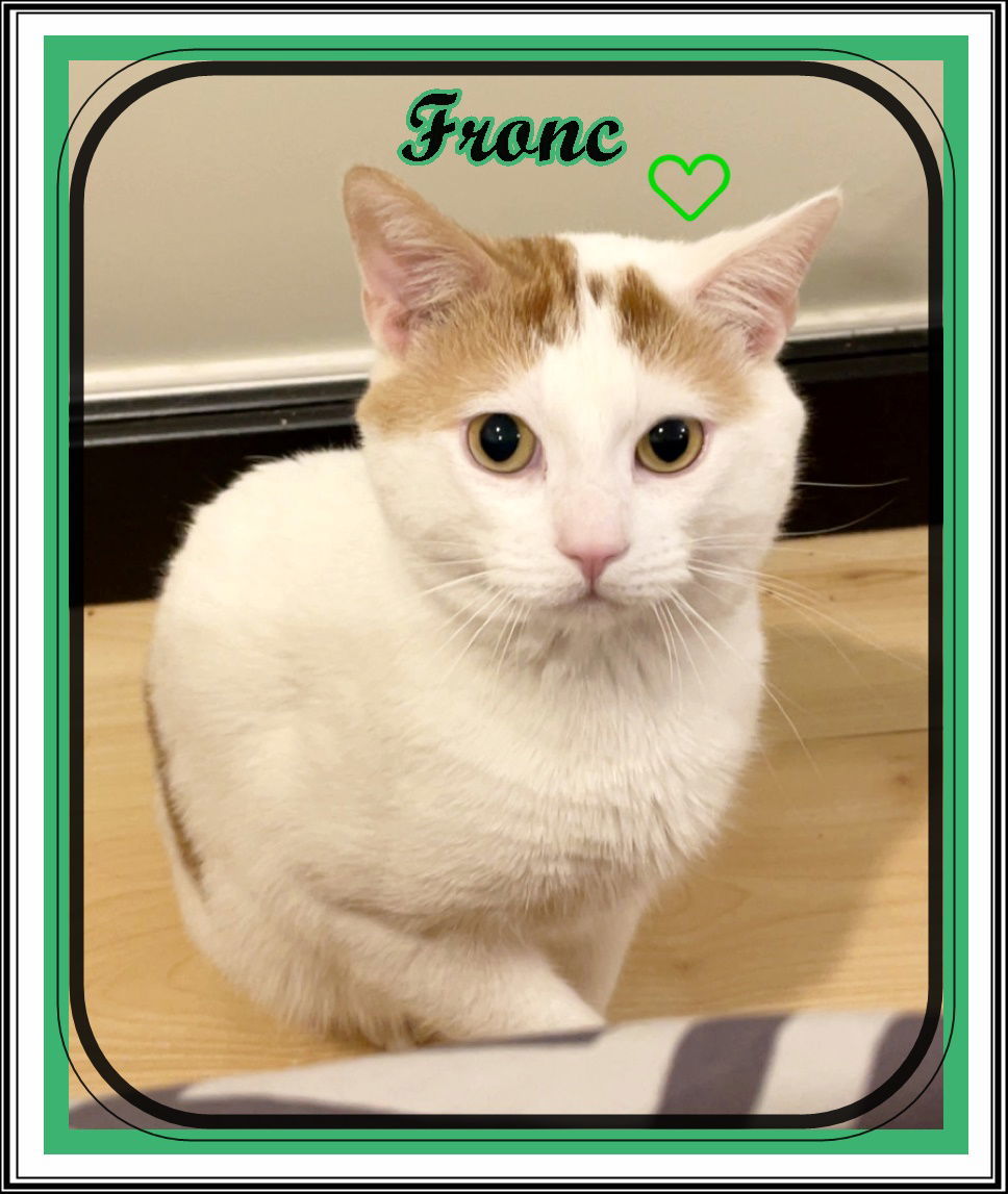 FRONC