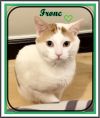 FRONC (CP) photo 3