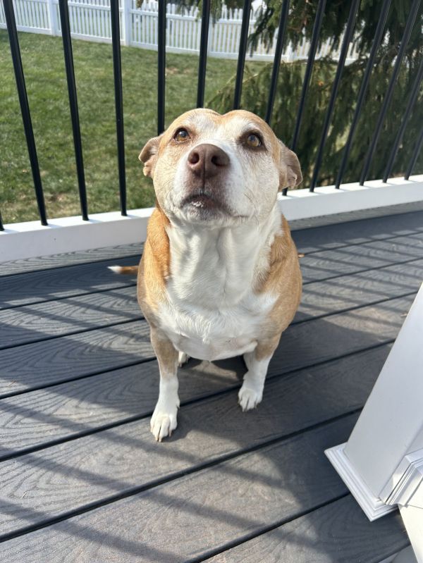 Maggie thumbnail 2