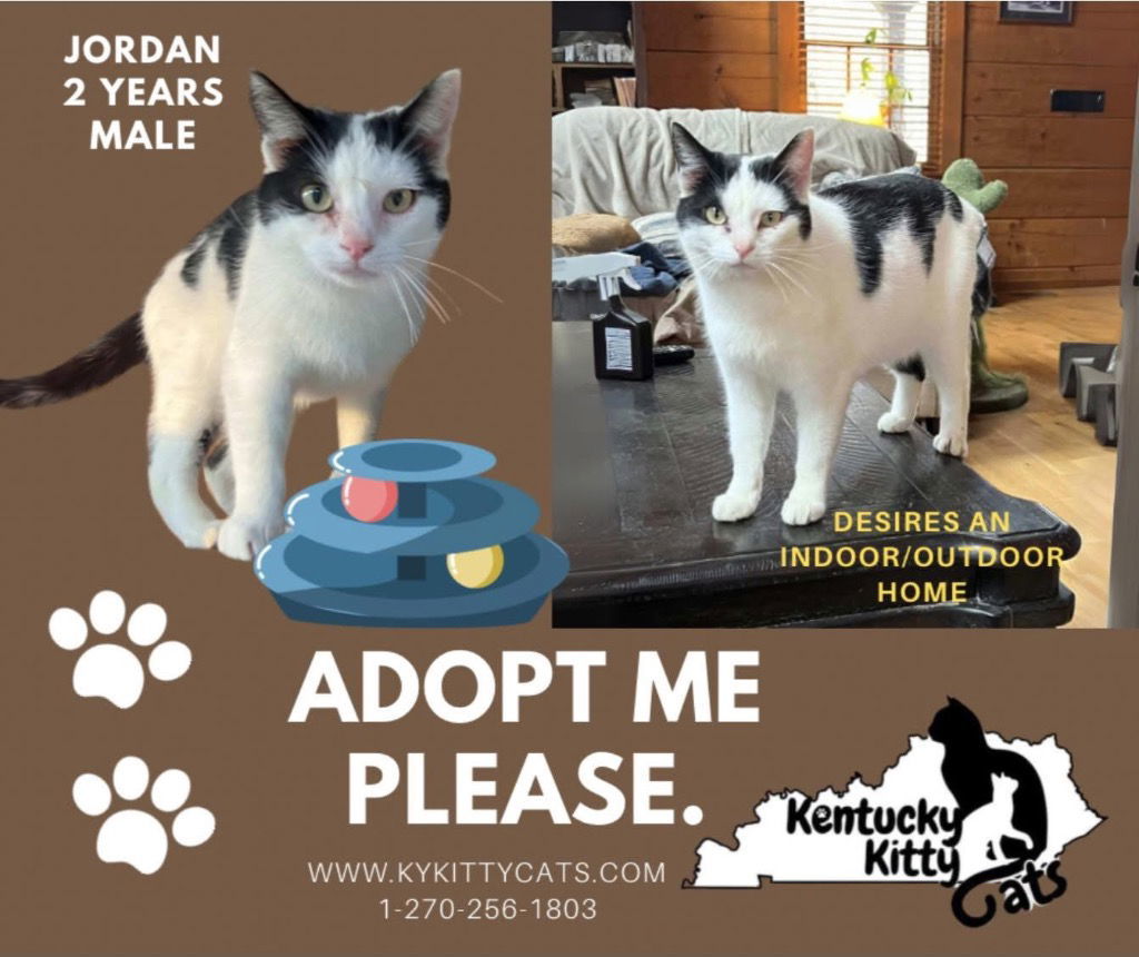 Jordan