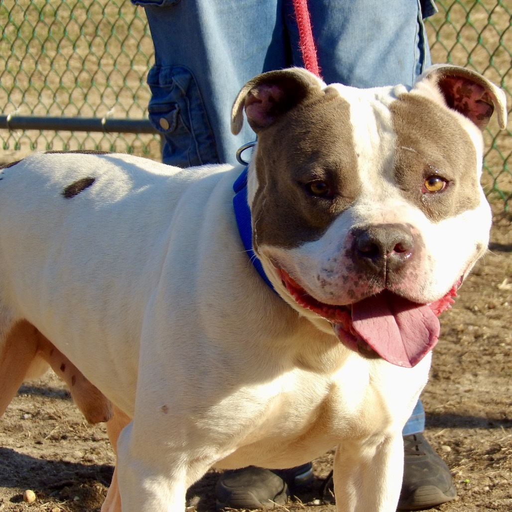 Tank (In Foster)