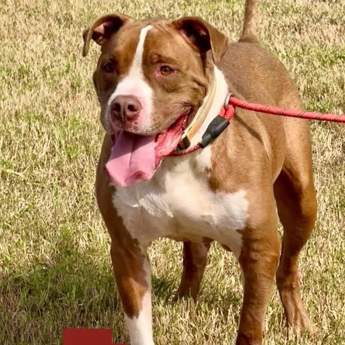 Jax
