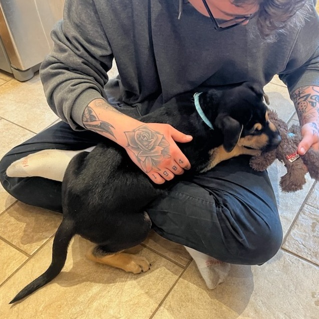 Tarzan, an adoptable Mixed Breed in Calgary, AB, T3C 1W4 | Photo Image 4