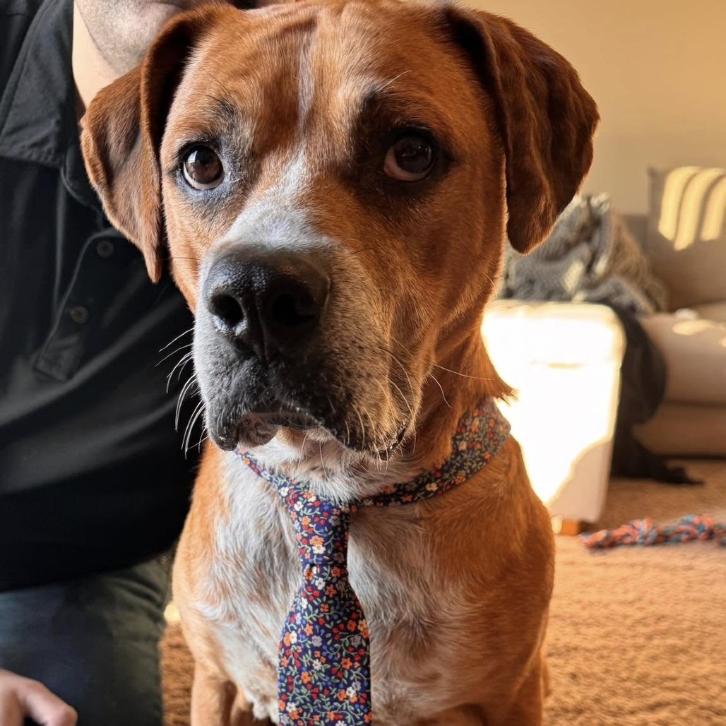 Jax