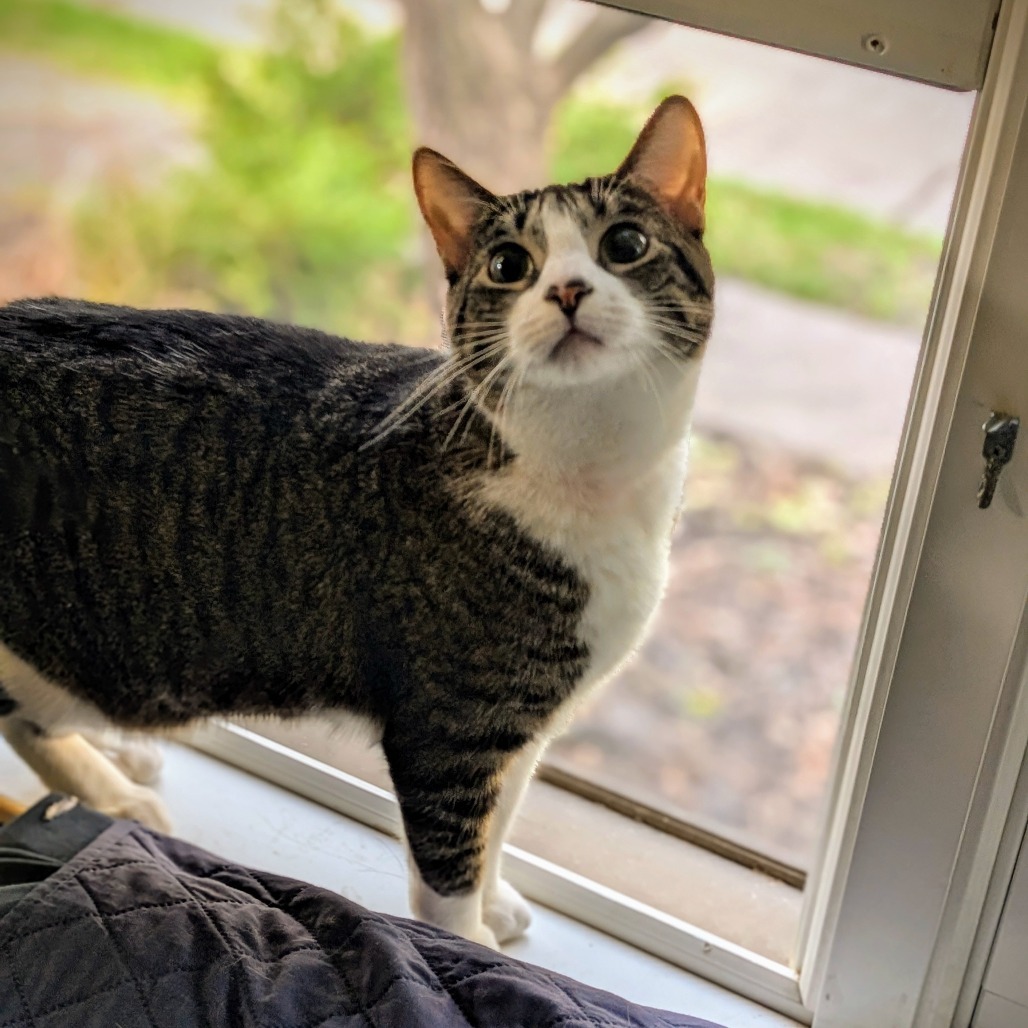 Luna