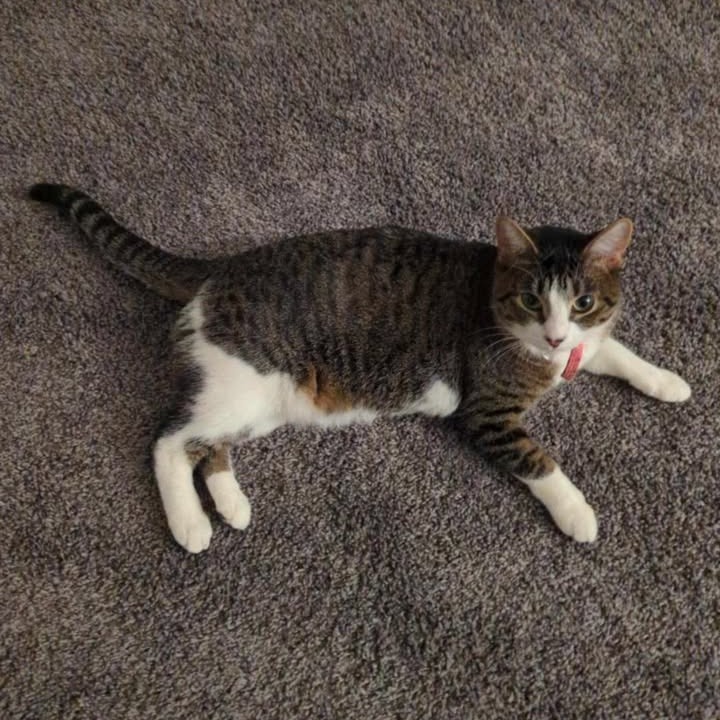Luna