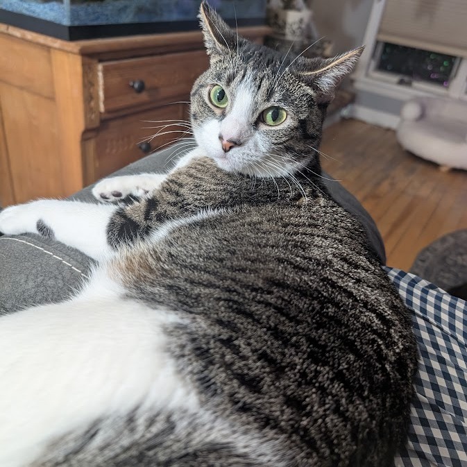 Luna
