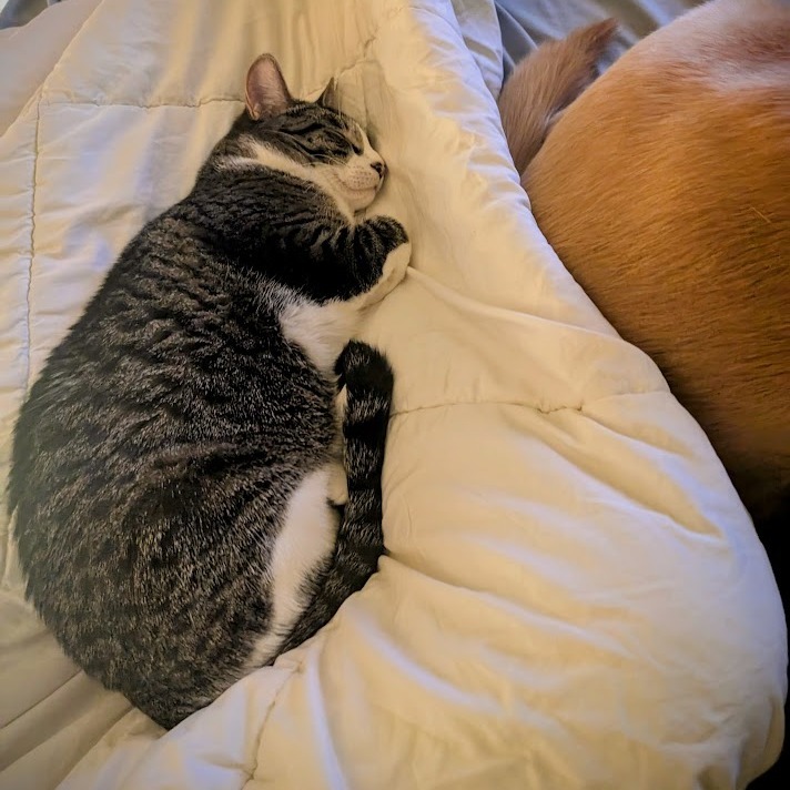 Luna