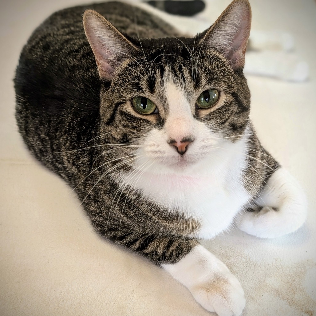 Luna