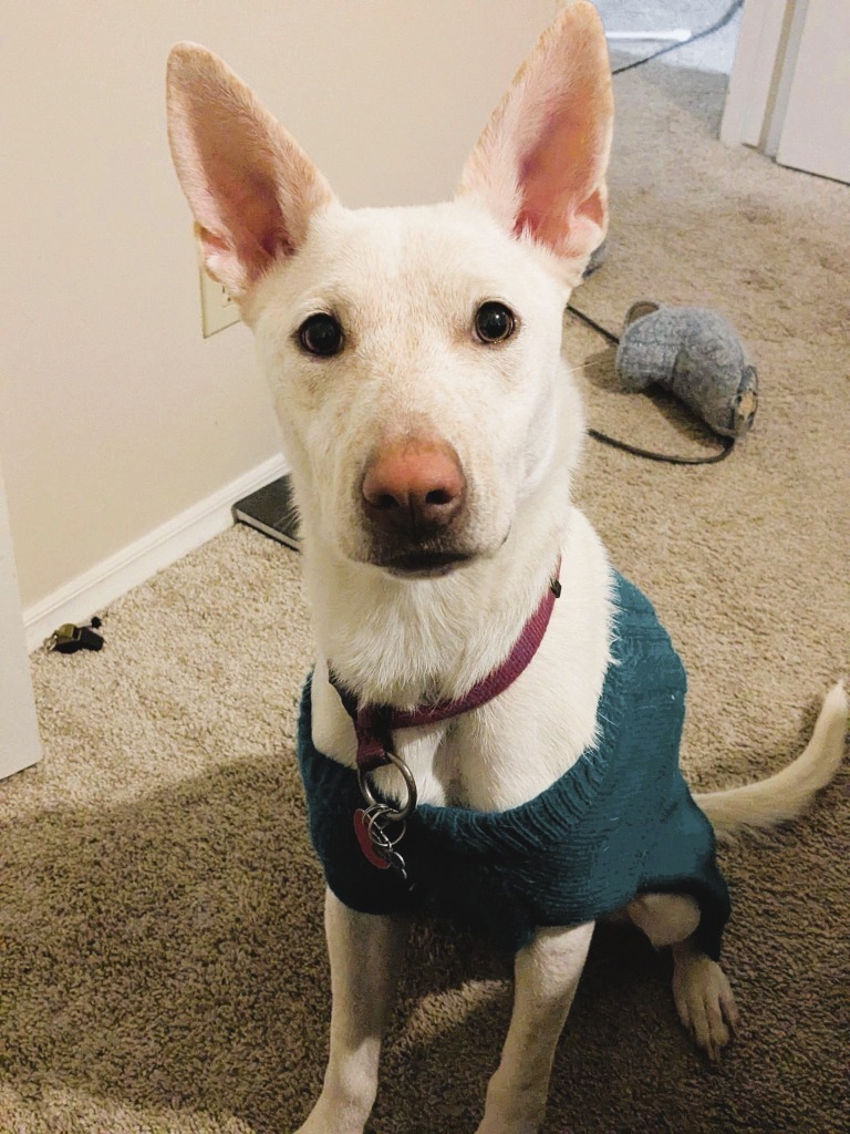 Trixie