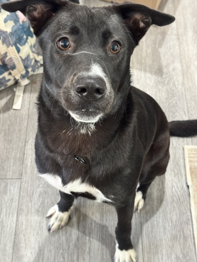 Roscoe
