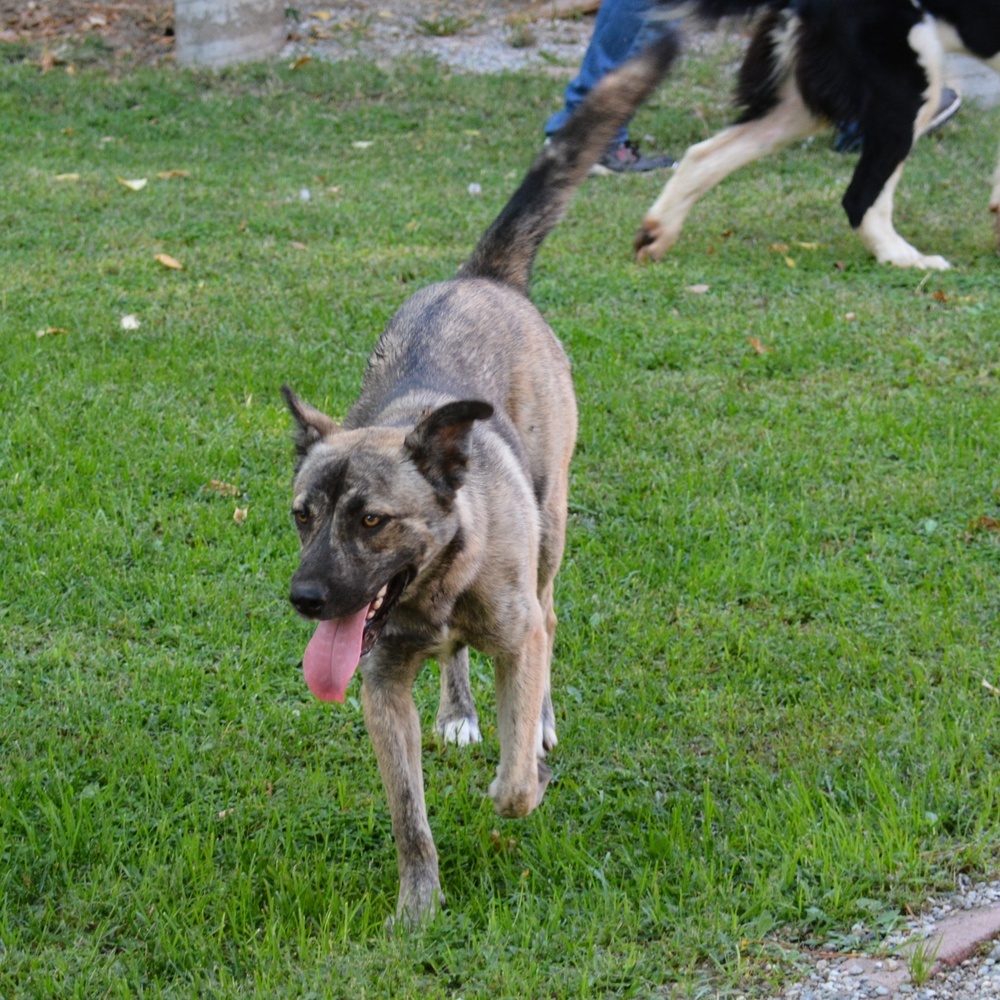 Luna