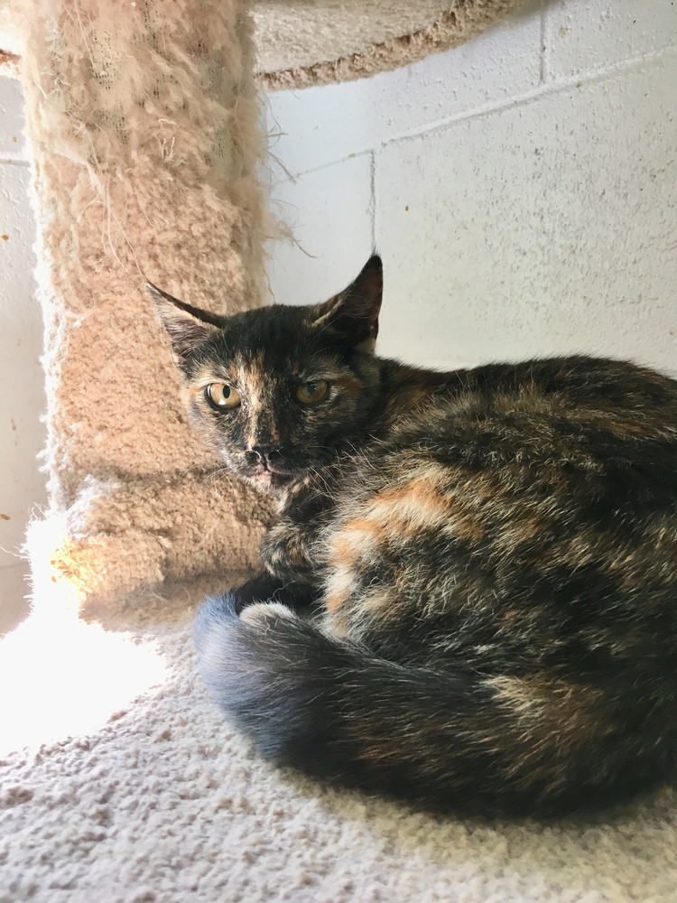 Sabrina