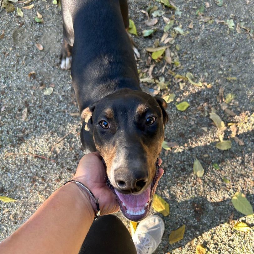 Tyson
