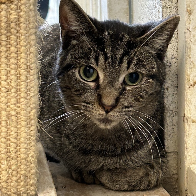 Barry