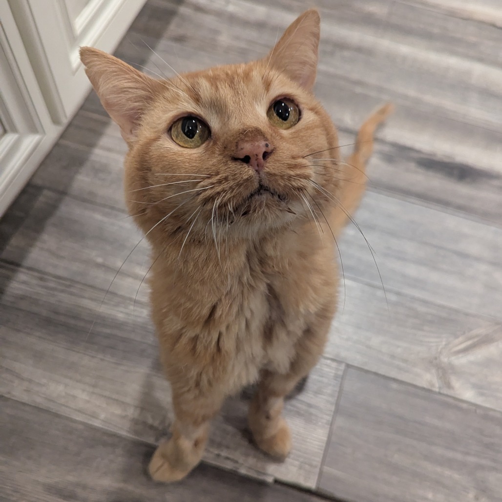 Pete