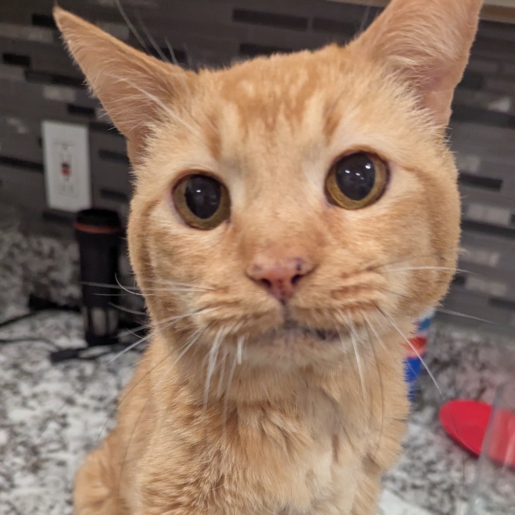 Pete