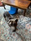 Holly photo 5