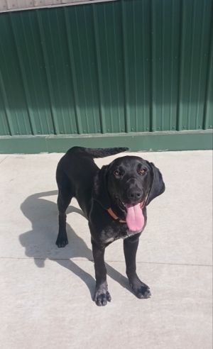 Ellie